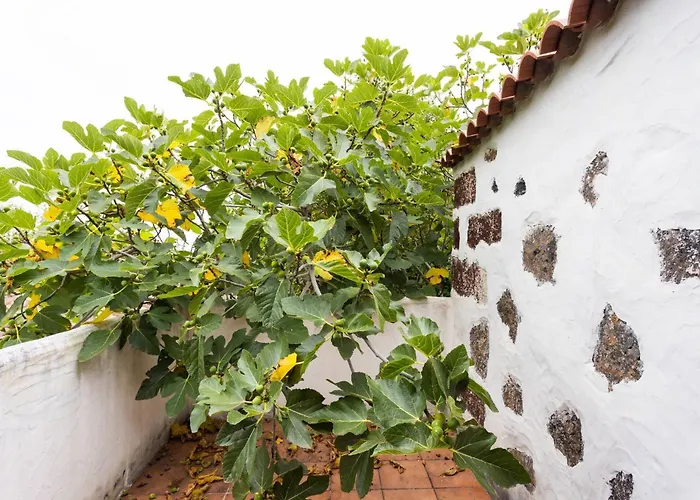 El Naranjero Ferienhaus El Tanque